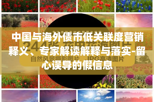 中國與海外債市低關(guān)聯(lián)度營銷釋義、專家解讀解釋與落實(shí)-留心誤導(dǎo)的假信息