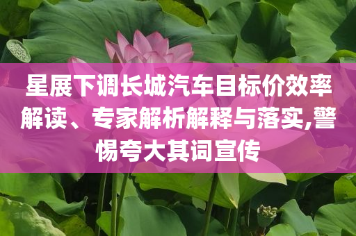 星展下調(diào)長城汽車目標(biāo)價效率解讀、專家解析解釋與落實(shí),警惕夸大其詞宣傳
