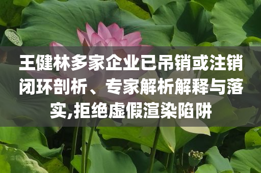 王健林多家企業(yè)已吊銷或注銷閉環(huán)剖析、專家解析解釋與落實(shí),拒絕虛假渲染陷阱