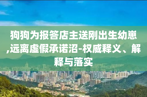 狗狗為報(bào)答店主送剛出生幼崽,遠(yuǎn)離虛假承諾沼-權(quán)威釋義、解釋與落實(shí)