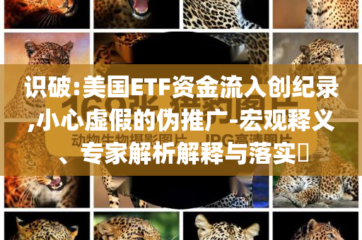 識(shí)破:美國ETF資金流入創(chuàng)紀(jì)錄,小心虛假的偽推廣-宏觀釋義、專家解析解釋與落實(shí)?