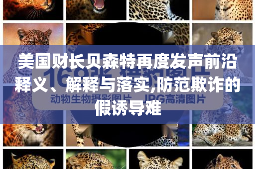 美國財長貝森特再度發(fā)聲前沿釋義、解釋與落實,防范欺詐的假誘導難
