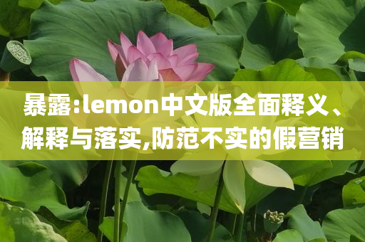 暴露:lemon中文版全面釋義、解釋與落實(shí),防范不實(shí)的假營銷