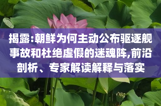 揭露:朝鮮為何主動(dòng)公布驅(qū)逐艦事故和杜絕虛假的迷魂陣,前沿剖析、專家解讀解釋與落實(shí)