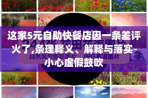這家5元自助快餐店因一條差評火了,條理釋義、解釋與落實-小心虛假鼓吹