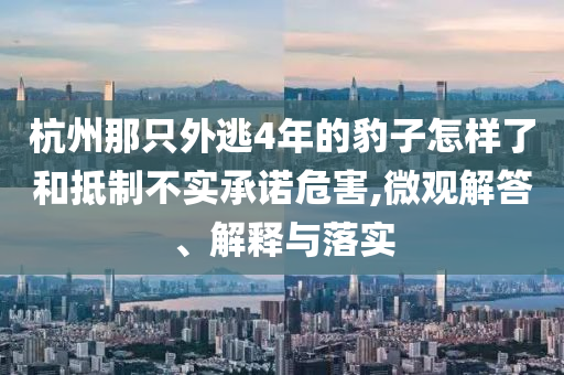 杭州那只外逃4年的豹子怎樣了和抵制不實(shí)承諾危害,微觀解答、解釋與落實(shí)