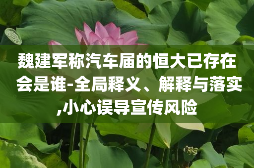 魏建軍稱汽車屆的恒大已存在 會(huì)是誰(shuí)-全局釋義、解釋與落實(shí),小心誤導(dǎo)宣傳風(fēng)險(xiǎn)