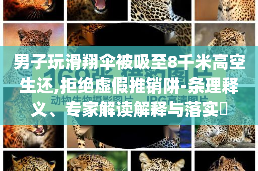 男子玩滑翔傘被吸至8千米高空生還,拒絕虛假推銷阱-條理釋義、專家解讀解釋與落實?