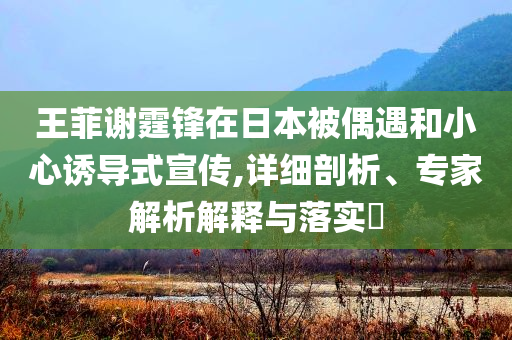 王菲謝霆鋒在日本被偶遇和小心誘導(dǎo)式宣傳,詳細剖析、專家解析解釋與落實?