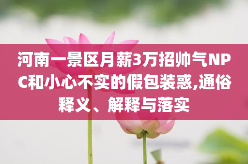 河南一景區(qū)月薪3萬招帥氣NPC和小心不實的假包裝惑,通俗釋義、解釋與落實