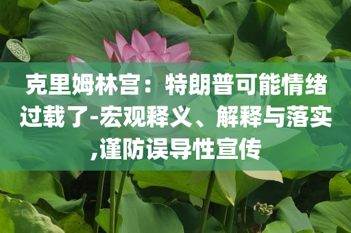 克里姆林宮：特朗普可能情緒過載了-宏觀釋義、解釋與落實,謹防誤導性宣傳