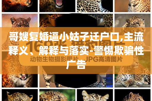 哥嫂復(fù)婚逼小姑子遷戶口,主流釋義、解釋與落實-警惕欺騙性廣告