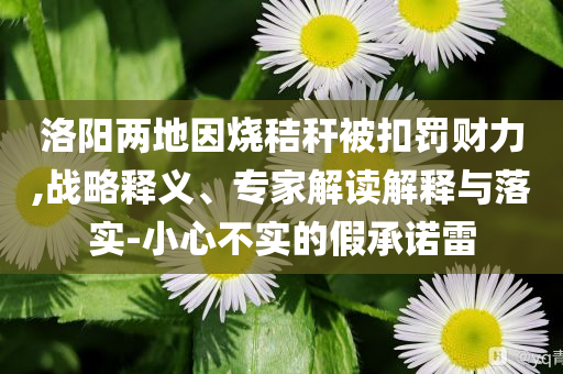 洛陽(yáng)兩地因燒秸稈被扣罰財(cái)力,戰(zhàn)略釋義、專家解讀解釋與落實(shí)-小心不實(shí)的假承諾雷