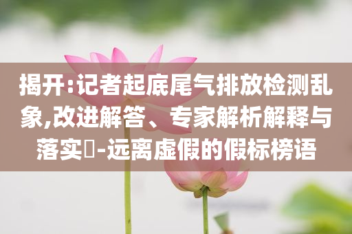 揭開:記者起底尾氣排放檢測亂象,改進(jìn)解答、專家解析解釋與落實(shí)?-遠(yuǎn)離虛假的假標(biāo)榜語