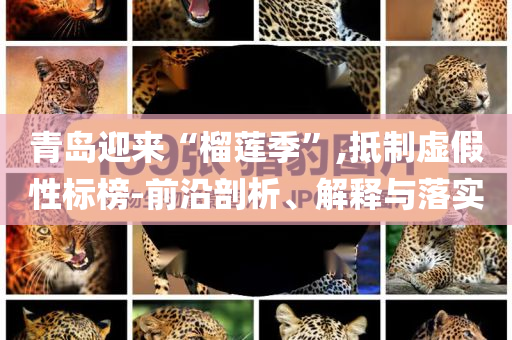 青島迎來(lái)“榴蓮季”,抵制虛假性標(biāo)榜-前沿剖析、解釋與落實(shí)