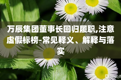 萬辰集團(tuán)董事長回歸履職,注意虛假標(biāo)榜-常見釋義、解釋與落實(shí)