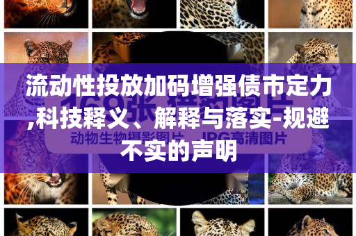 流動性投放加碼增強債市定力,科技釋義、解釋與落實-規(guī)避不實的聲明