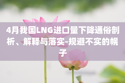 4月我國LNG進口量下降通俗剖析、解釋與落實-規(guī)避不實的幌子