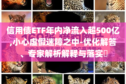 信用債ETF年內(nèi)凈流入超500億,小心虛假迷障之中-優(yōu)化解答、專家解析解釋與落實(shí)?