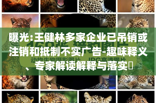 曝光:王健林多家企業(yè)已吊銷或注銷和抵制不實廣告-趣味釋義、專家解讀解釋與落實?