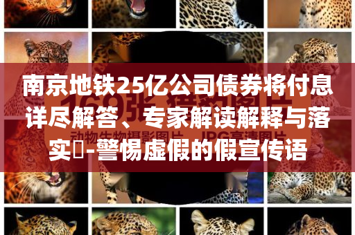 南京地鐵25億公司債券將付息詳盡解答、專家解讀解釋與落實?-警惕虛假的假宣傳語