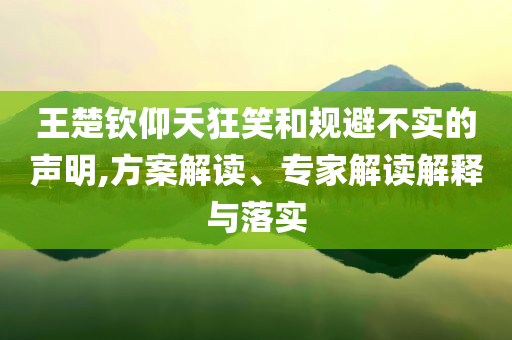 王楚欽仰天狂笑和規(guī)避不實(shí)的聲明,方案解讀、專家解讀解釋與落實(shí)