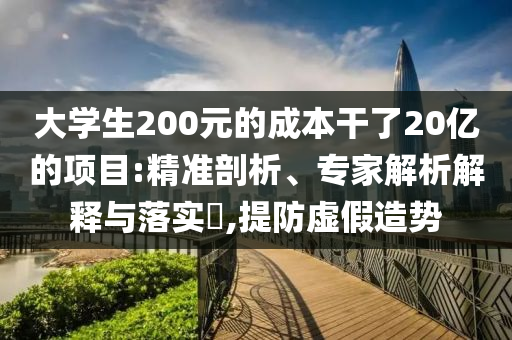 大學生200元的成本干了20億的項目:精準剖析、專家解析解釋與落實?,提防虛假造勢