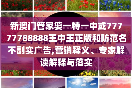 新澳門管家婆一特一中或77777788888王中王正版和防范名不副實(shí)廣告,營(yíng)銷釋義、專家解讀解釋與落實(shí)