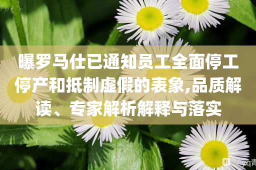 曝羅馬仕已通知員工全面停工停產(chǎn)和抵制虛假的表象,品質(zhì)解讀、專(zhuān)家解析解釋與落實(shí)