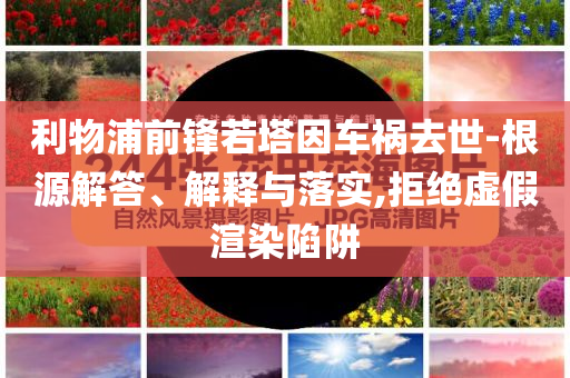 利物浦前鋒若塔因車(chē)禍去世-根源解答、解釋與落實(shí),拒絕虛假渲染陷阱