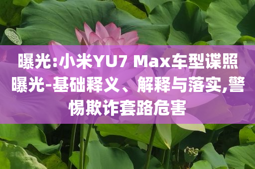 曝光:小米YU7 Max車型諜照曝光-基礎釋義、解釋與落實,警惕欺詐套路危害