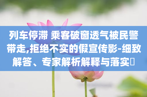 列車停滯 乘客破窗透氣被民警帶走,拒絕不實的假宣傳影-細致解答、專家解析解釋與落實?