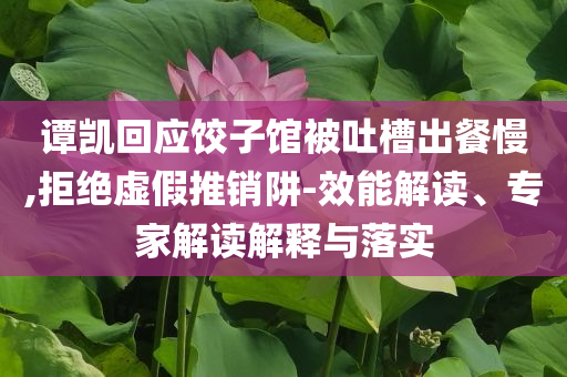 譚凱回應(yīng)餃子館被吐槽出餐慢,拒絕虛假推銷阱-效能解讀、專家解讀解釋與落實(shí)
