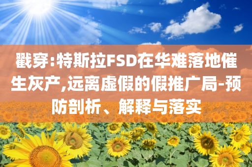 戳穿:特斯拉FSD在華難落地催生灰產(chǎn),遠離虛假的假推廣局-預(yù)防剖析、解釋與落實