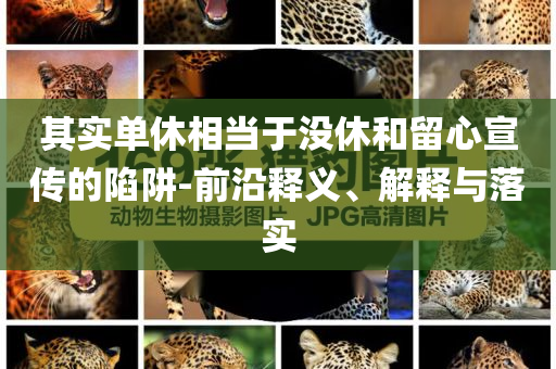 其實單休相當于沒休和留心宣傳的陷阱-前沿釋義、解釋與落實
