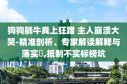 狗狗躺牛糞上狂蹭 主人崩潰大哭-精準(zhǔn)剖析、專家解讀解釋與落實(shí)?,抵制不實(shí)標(biāo)榜坑