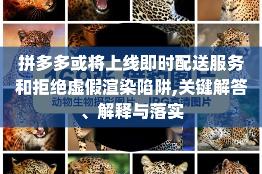 拼多多或?qū)⑸暇€即時(shí)配送服務(wù)和拒絕虛假渲染陷阱,關(guān)鍵解答、解釋與落實(shí)