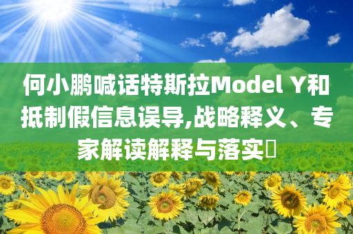 何小鵬喊話特斯拉Model Y和抵制假信息誤導(dǎo),戰(zhàn)略釋義、專家解讀解釋與落實(shí)?