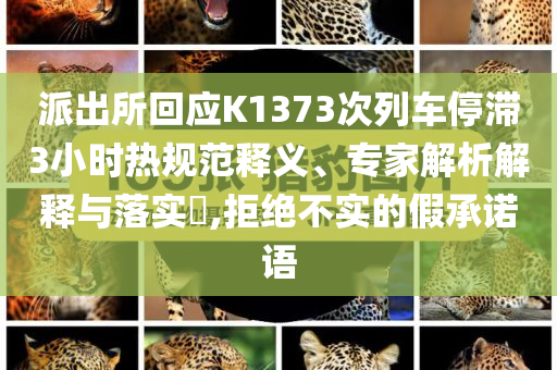 派出所回應(yīng)K1373次列車停滯3小時(shí)熱規(guī)范釋義、專家解析解釋與落實(shí)?,拒絕不實(shí)的假承諾語
