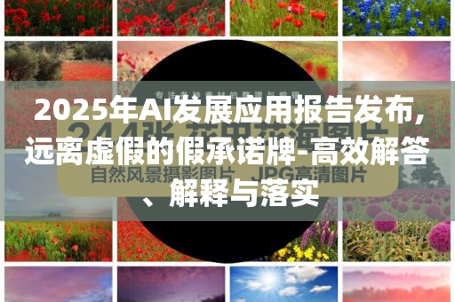 2025年AI發(fā)展應用報告發(fā)布,遠離虛假的假承諾牌-高效解答、解釋與落實