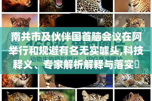 南共市及伙伴國首腦會議在阿舉行和規(guī)避有名無實噱頭,科技釋義、專家解析解釋與落實?