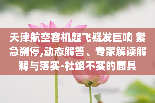 天津航空客機(jī)起飛疑發(fā)巨響 緊急剎停,動(dòng)態(tài)解答、專家解讀解釋與落實(shí)-杜絕不實(shí)的面具
