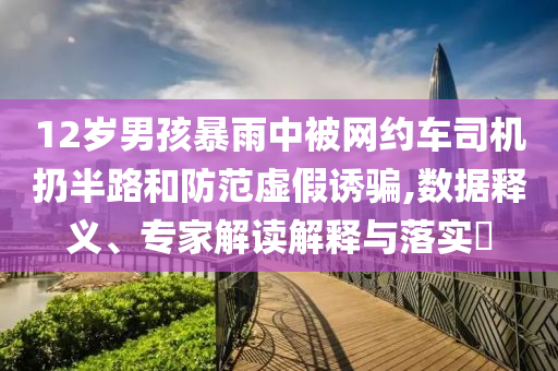 12歲男孩暴雨中被網(wǎng)約車司機(jī)扔半路和防范虛假誘騙,數(shù)據(jù)釋義、專家解讀解釋與落實(shí)?