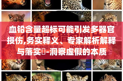血鉛含量超標(biāo)可能引發(fā)多器官損傷,務(wù)實(shí)釋義、專家解析解釋與落實(shí)?-洞察虛假的本質(zhì)