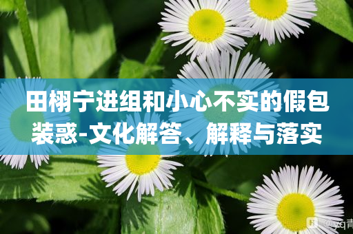 田栩寧進組和小心不實的假包裝惑-文化解答、解釋與落實