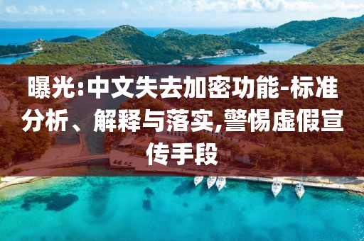 曝光:中文失去加密功能-標(biāo)準(zhǔn)分析、解釋與落實(shí),警惕虛假宣傳手段