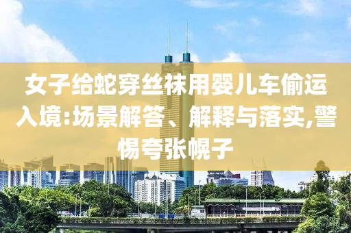 女子給蛇穿絲襪用嬰兒車偷運(yùn)入境:場景解答、解釋與落實,警惕夸張幌子