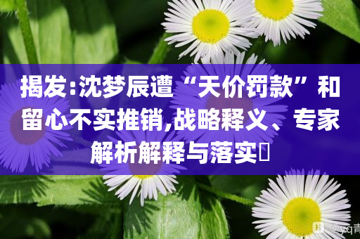 揭發(fā):沈夢辰遭“天價罰款”和留心不實推銷,戰(zhàn)略釋義、專家解析解釋與落實?