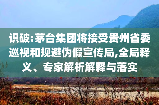 識破:茅臺集團將接受貴州省委巡視和規(guī)避偽假宣傳局,全局釋義、專家解析解釋與落實