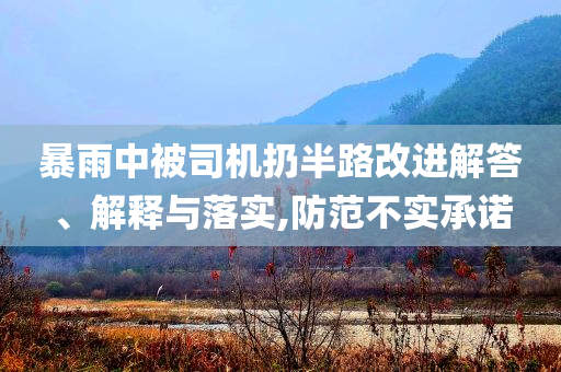 暴雨中被司機(jī)扔半路改進(jìn)解答、解釋與落實(shí),防范不實(shí)承諾